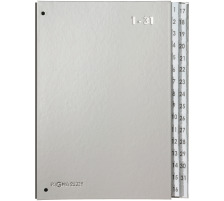 PAGNA Dossier  soufflets Color A4 argent, 1-31, 24329-14