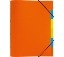 PAGNA Ordnungsmappe A4 orange 5-teilig, 41803-09