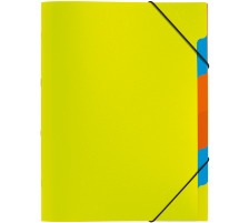 PAGNA Ordnungsmappe A4 grün 5-teilig, 41803-17