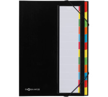 PAGNA Deskorganizer A4 noir 12 compart., 44133-04