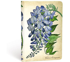 PAPERBLANKS Carnet Glyzinie Mini, lign 176 pages, PB3571-8