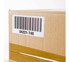 PTOUCH Etiquettes adresse 29x62mm QL-500/550 800 pc./rouleau, DK-11209