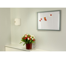 TESA Powerbond Indoor 19mmx1.5m Bande montage, double-face, 557400000