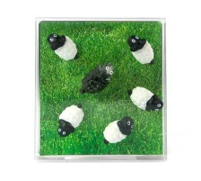 TRENDFORM Aimants SHEEP set de 6 assorti, FA3737