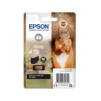 Cartouche d`encre original Epson T04F640 XL grey, 11.2 ml, 200 photos